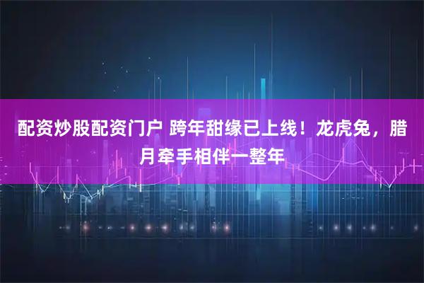 配资炒股配资门户 跨年甜缘已上线！龙虎兔，腊月牵手相伴一整年